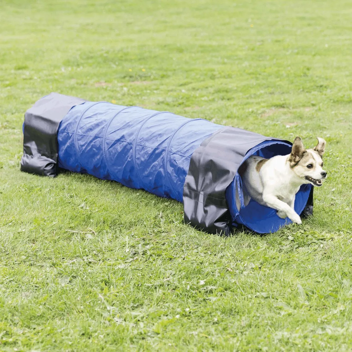 Trixie Nylon Trainingstunnel Blauw 40x200cm