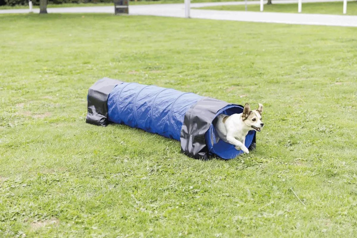Trixie Nylon Trainingstunnel Blauw 40x200cm