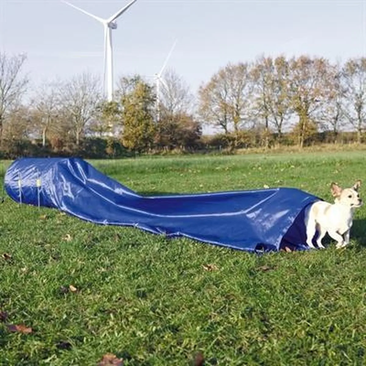Trixie Nylon Trainingstunnel Blauw 40x200cm - afbeelding 6 van 6