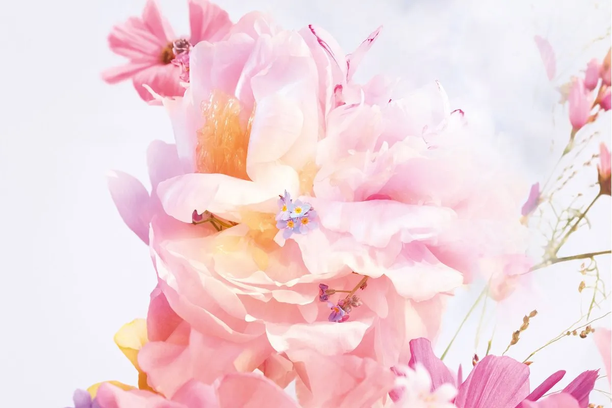 Dior Miss Dior Blooming Bouquet Eau de Toilette 50ml