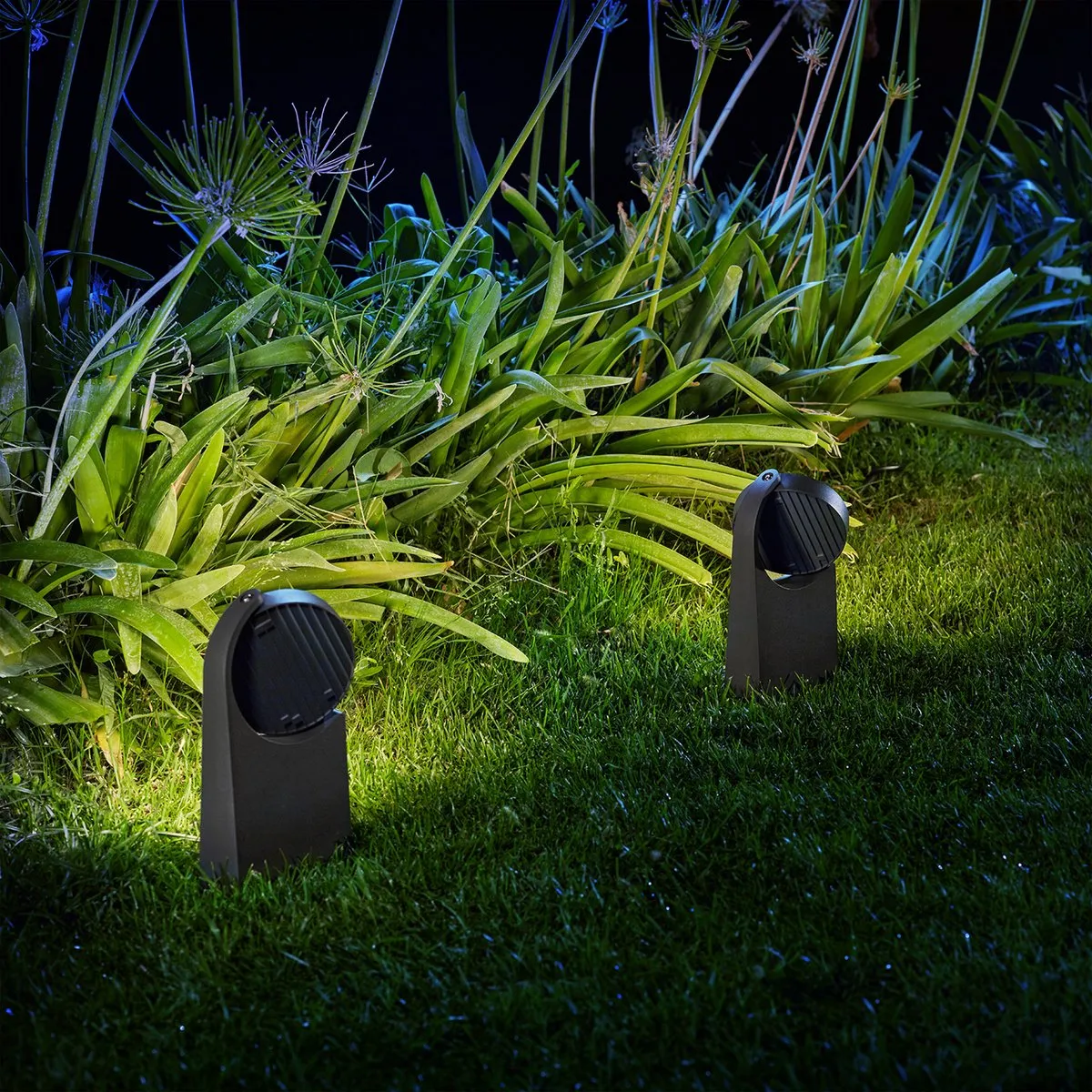 Philips LED Mimosa Sokkellamp 7W - Antraciet - Warmwit