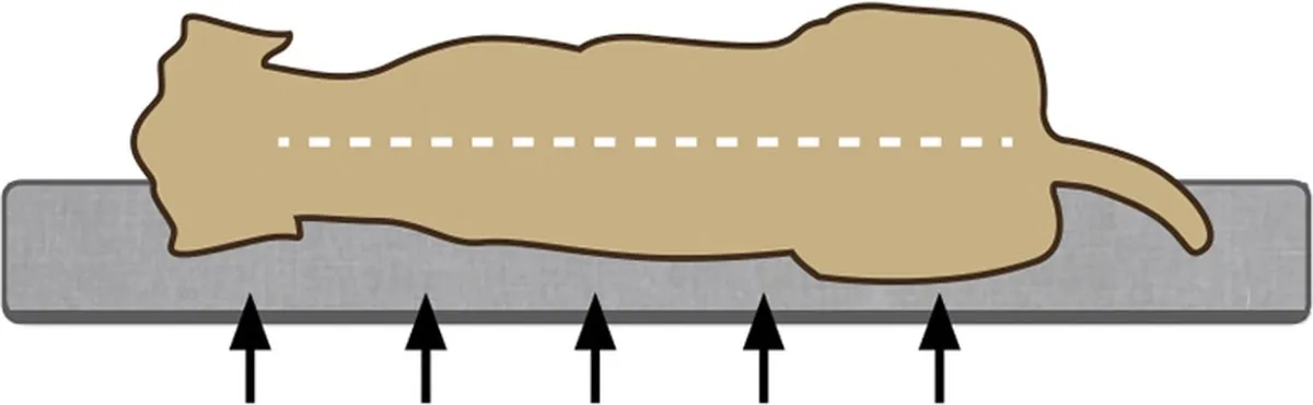 Beeztees Zia - Orthopedische Hondenmand - Beige - 60x40x20 cm