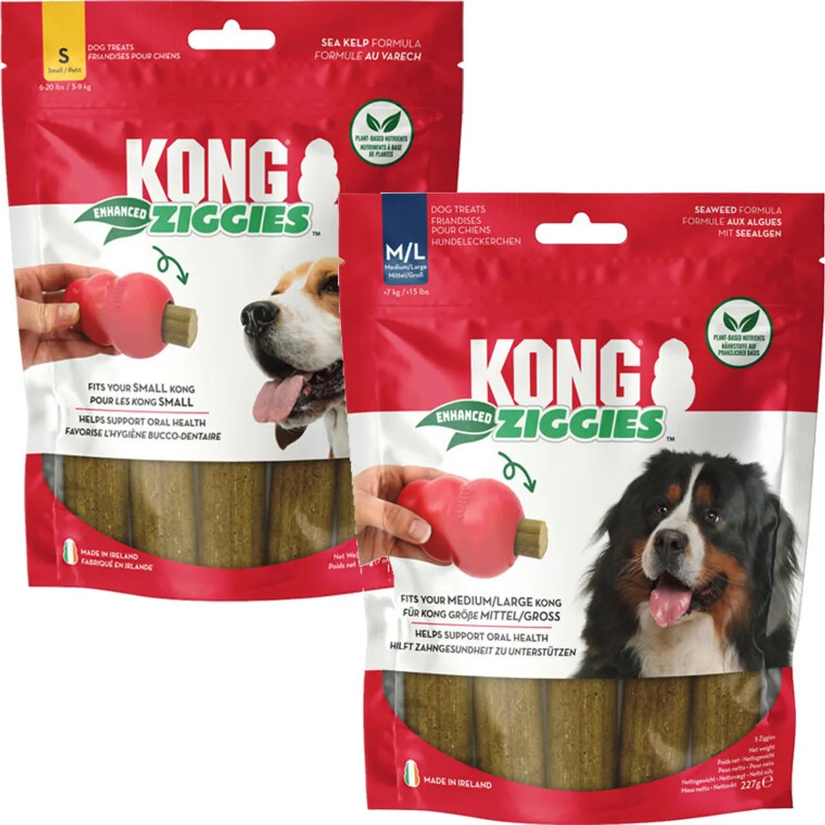 KONG Ziggies Enhanced - S - 12 Stuks