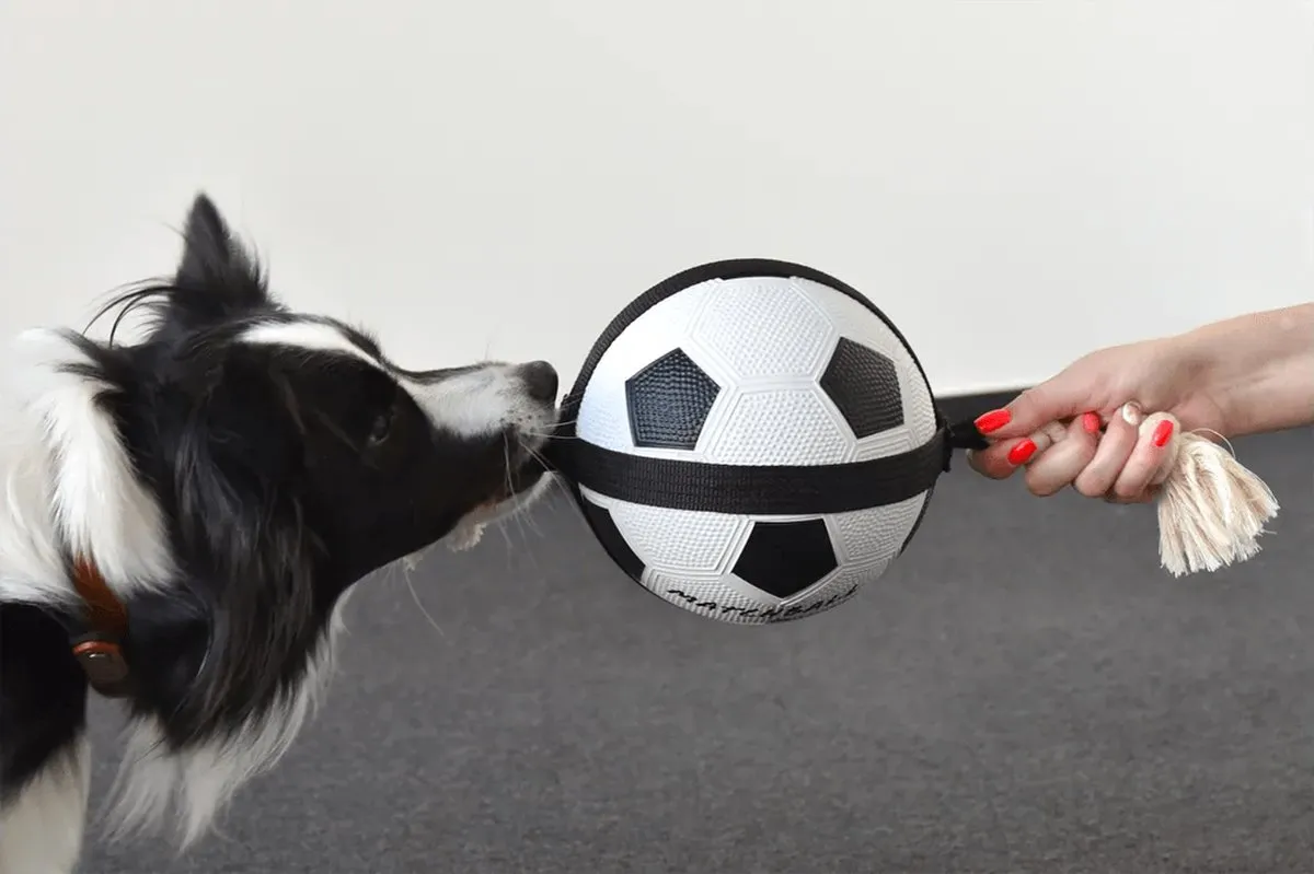 Flamingo Matchball Voetbal Hondenspeelgoed 50cm - Wit/Zwart