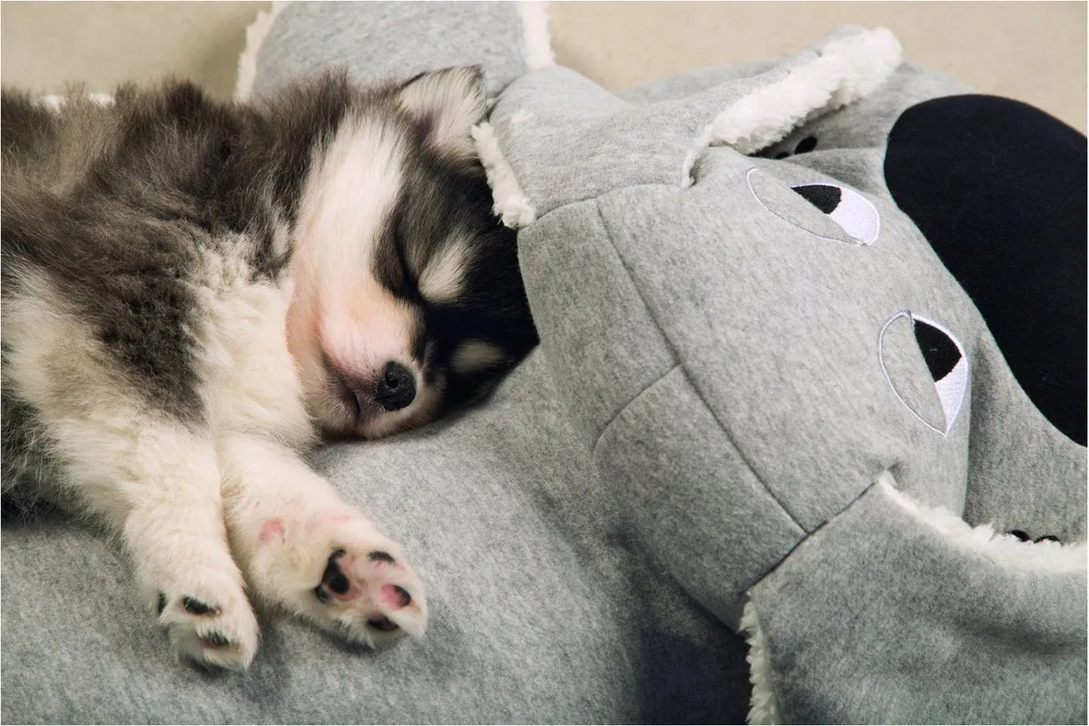 Beeztees Puppy Boomba XL Hondenspeelgoed - Grijs