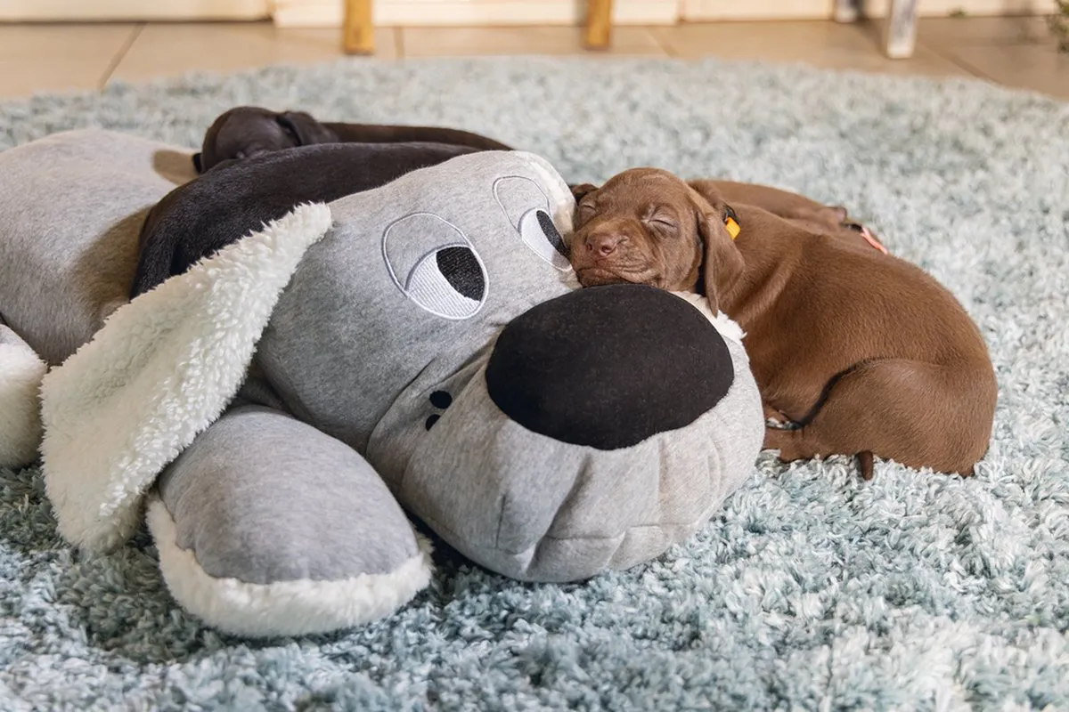 Beeztees Puppy Boomba XL Hondenspeelgoed - Grijs