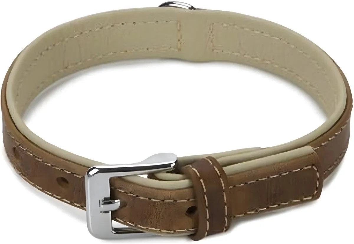 Beeztees Comfort Hondenhalsband