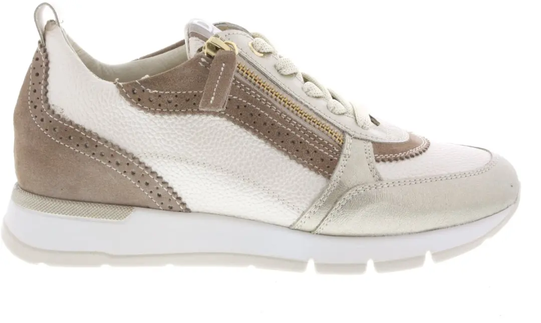 DL Sport 6931 Sneakers multi