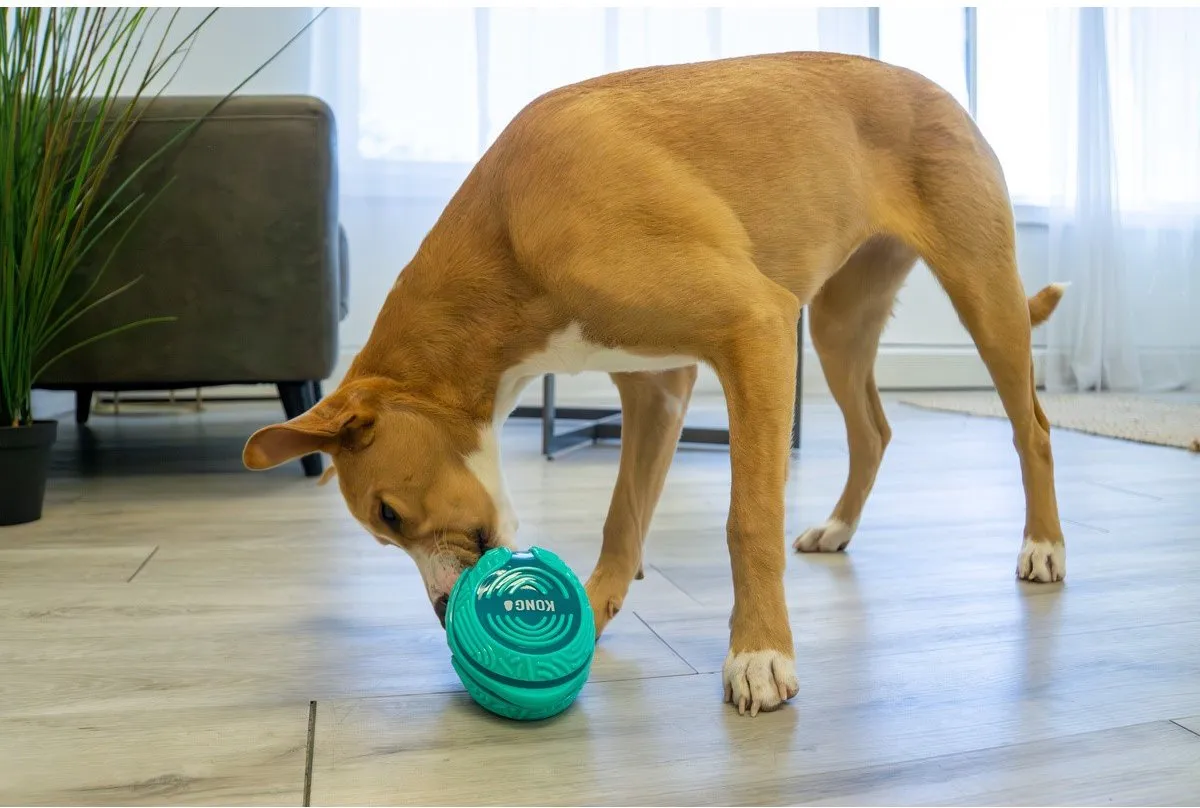 KONG Licks Rewards Medium/Large - Groen