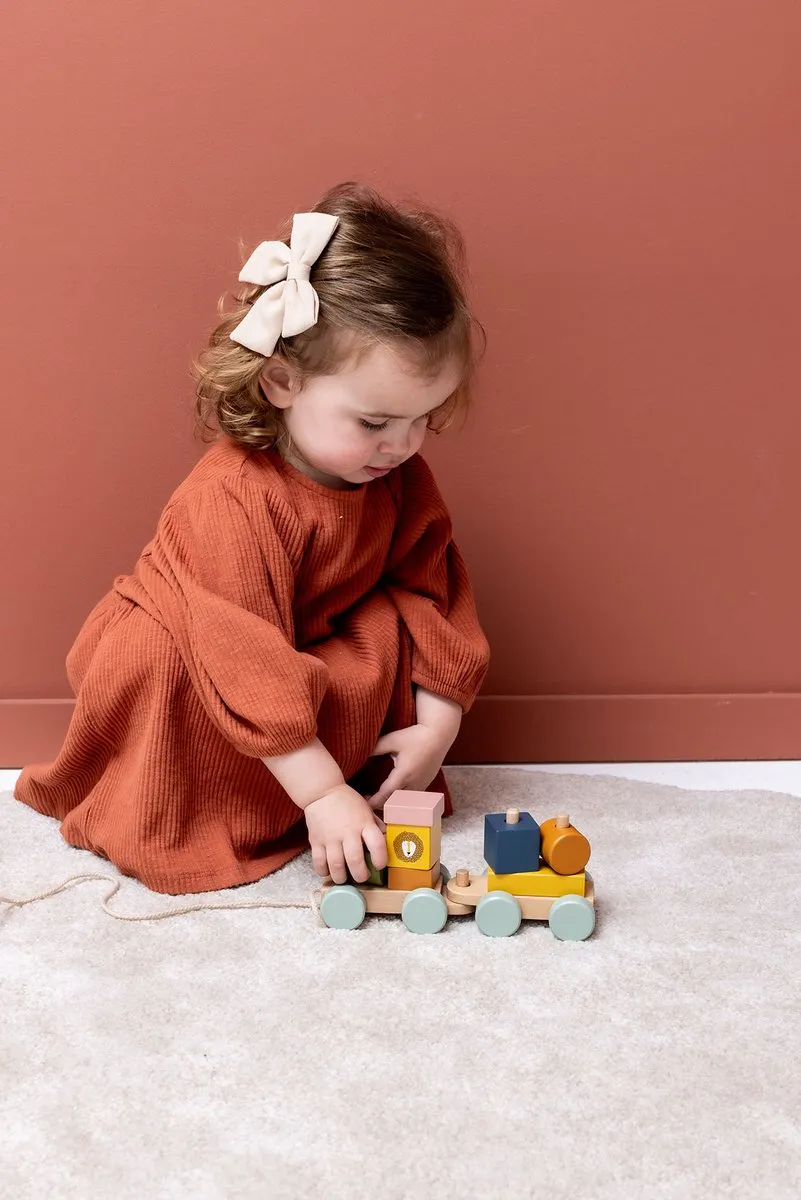Trixie Houten Mini Dierentrein 18m+ - Multi