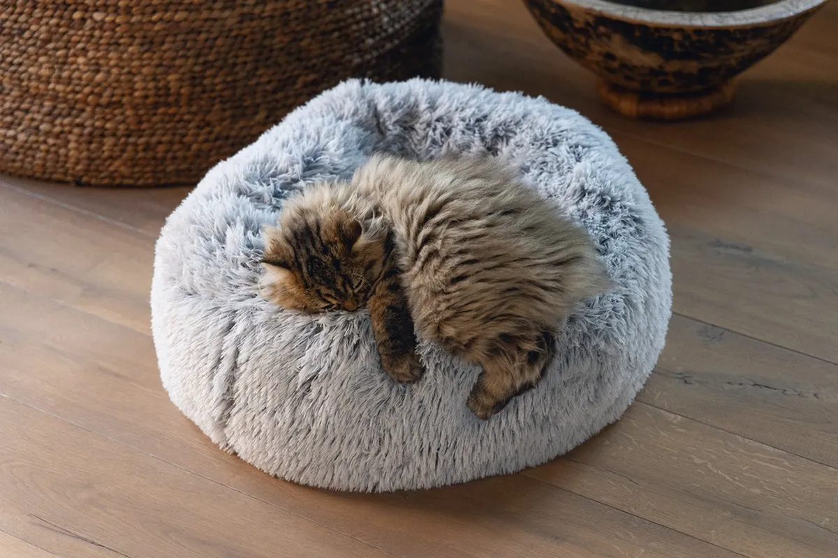 Beeztees Siba Orthopedische Kattenmand - 50x50x20cm