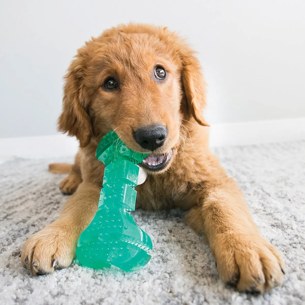 KONG Squeezz Dental Stick - Mintgroen