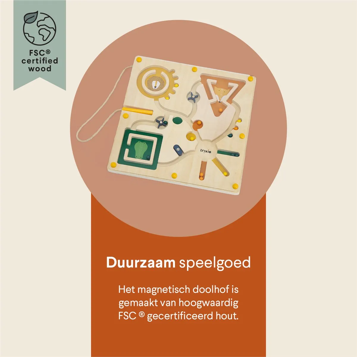Trixie Magnetisch Doolhof 36-557 - Houten Speelgoed