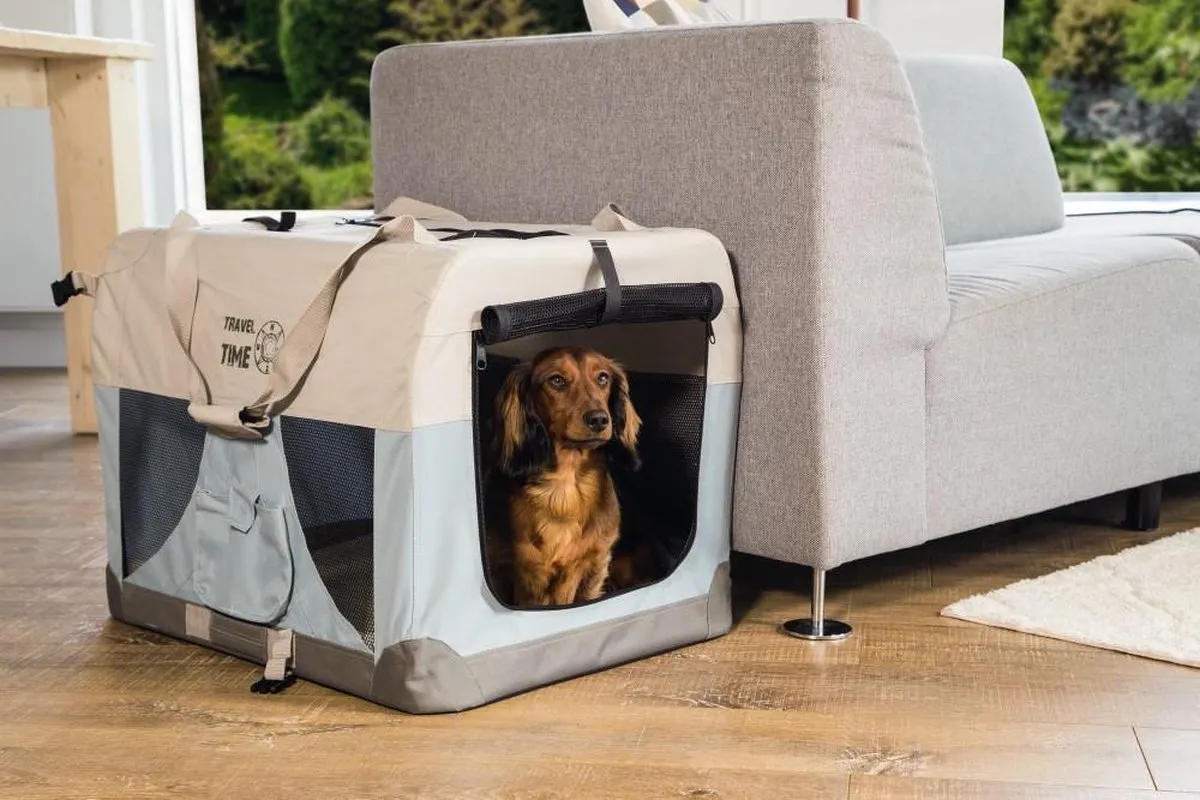 Beeztees Travel Time Reisbench Hond - XS Lichtblauw