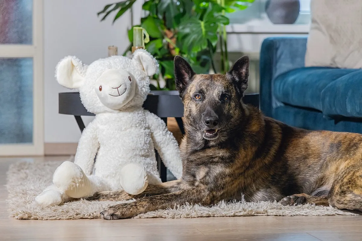 Beeztees XL Schaap Jessy Hondenspeelgoed - 80x39x20,5cm