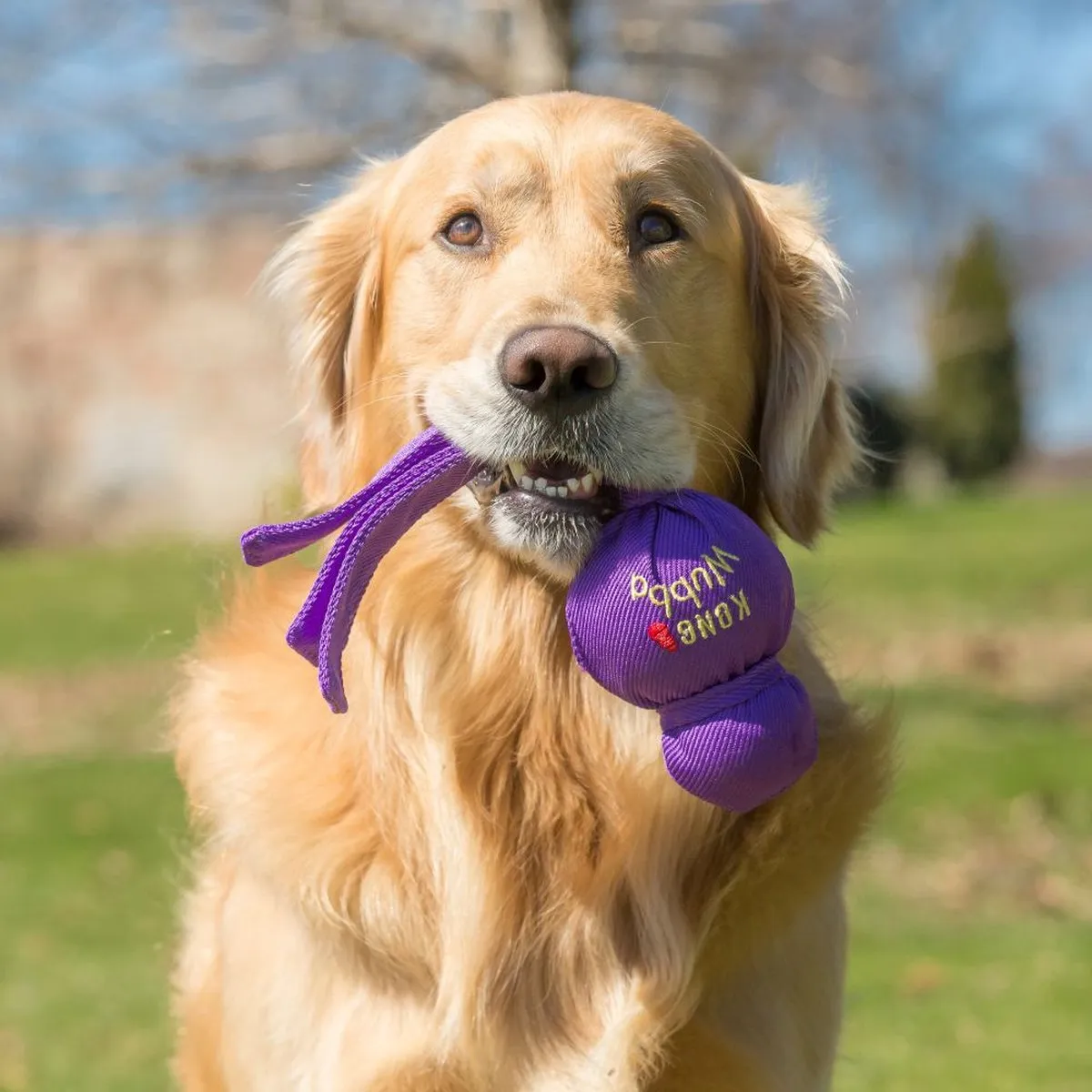 KONG Wubba Hondenspeelgoed - L 33cm - Multi