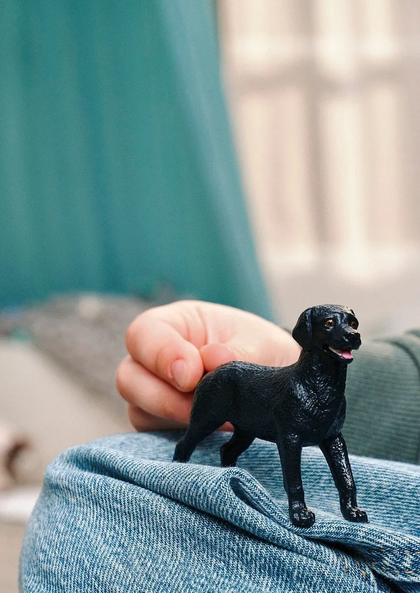 Schleich Farm World Zwarte Labrador Retriever 14923