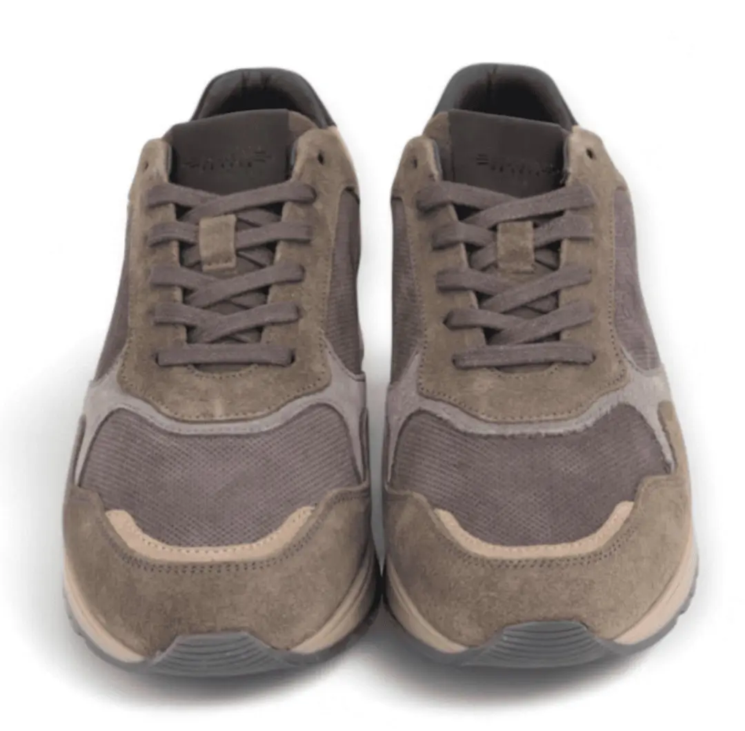 Cdl Heren Sneaker Chicory | Multicolour | Maat: 41 - afbeelding 2 van 4