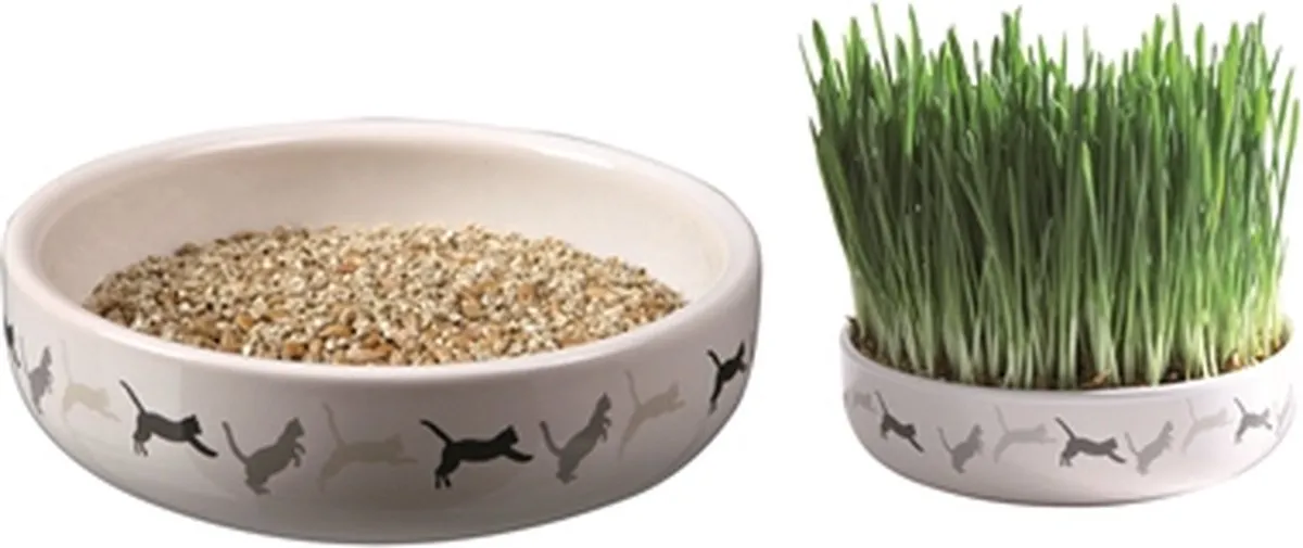 Trixie Kattengraszaad 50g Keramiekpot - afbeelding 3 van 3