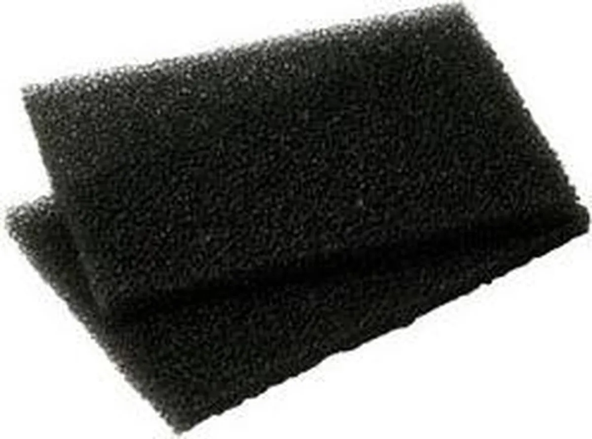 Electrolux EF51 Motorfilter 2 Stuks - Zwart