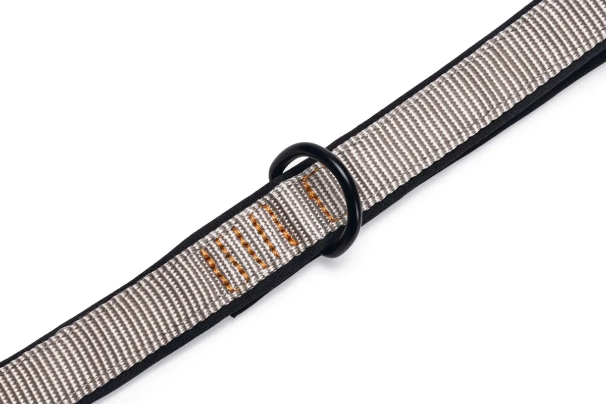 Beeztees Parinca Premium Hondenriem - Lichtgrijs 120cm x 20mm