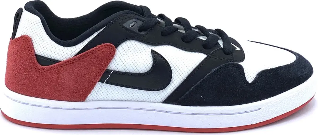 Nike SB Alleyoop