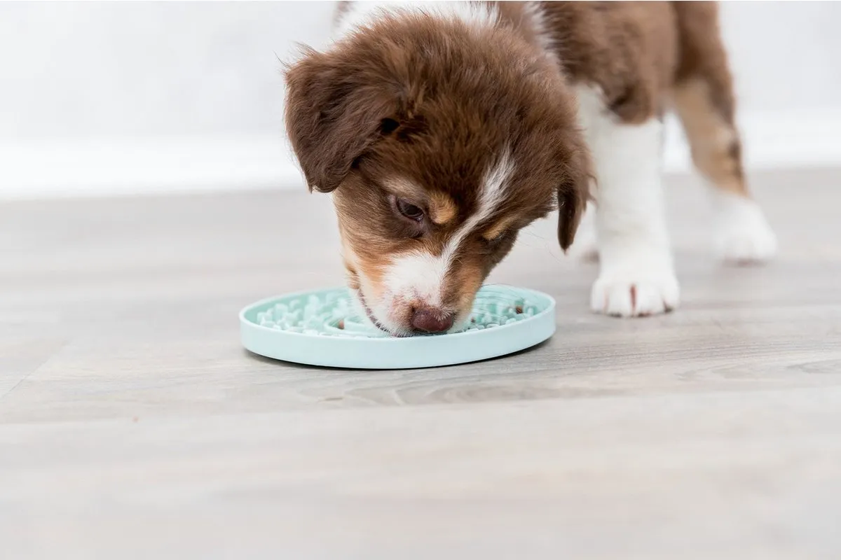 Trixie Likplaat Mintgroen 15cm