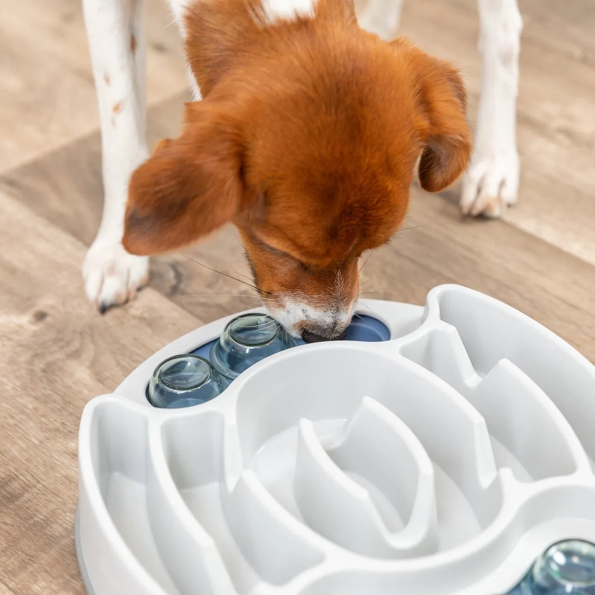 Trixie Slide & Feed Strategiespel Hondenspeelgoed - Wit
