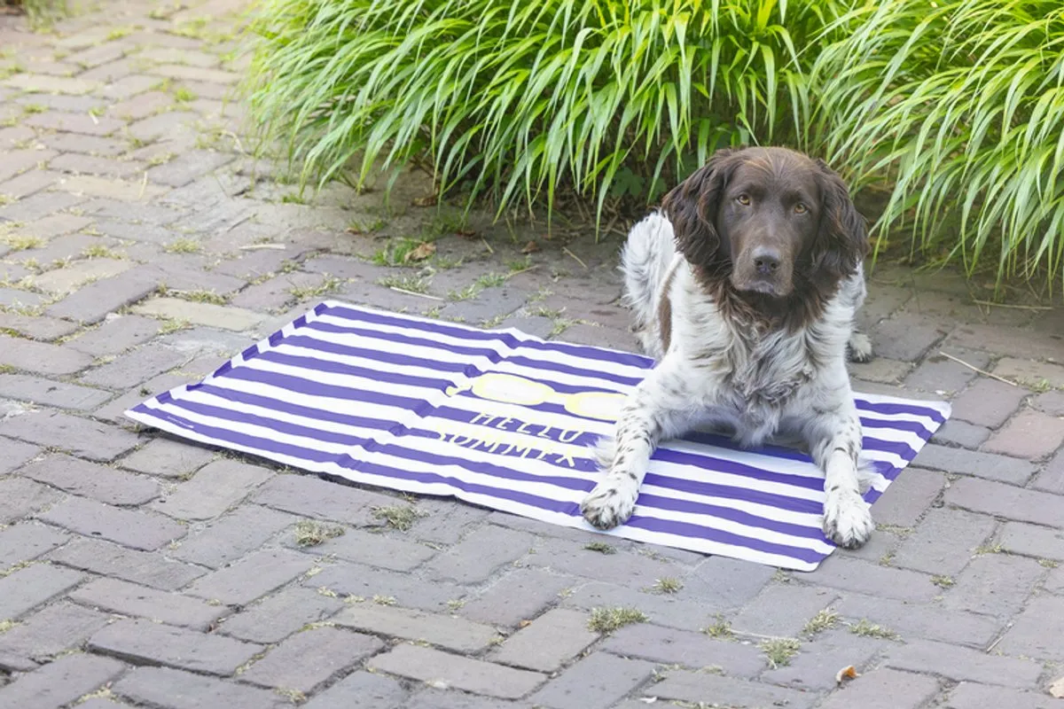 Beeztees Hello Summer Koelmat Hondenmat 90x50cm - Blauw/Wit - afbeelding 6 van 6