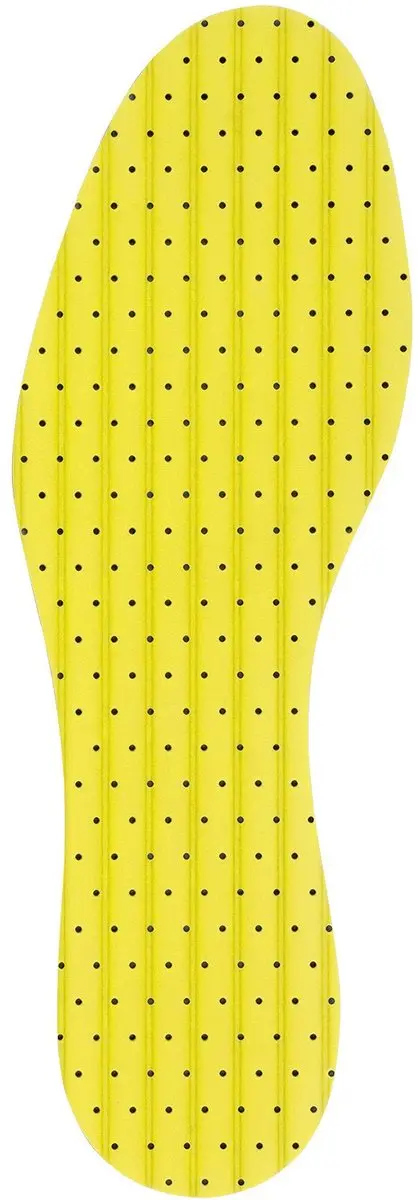 Pedag Soft