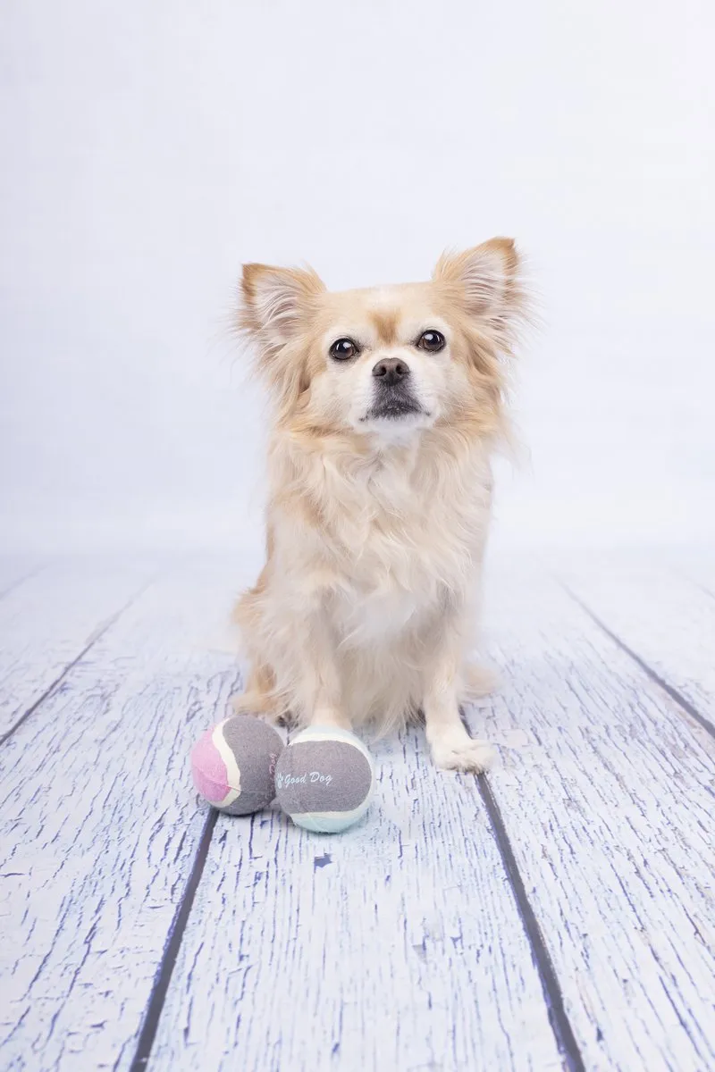Flamingo Dog Tennisbal - 2 Stuks