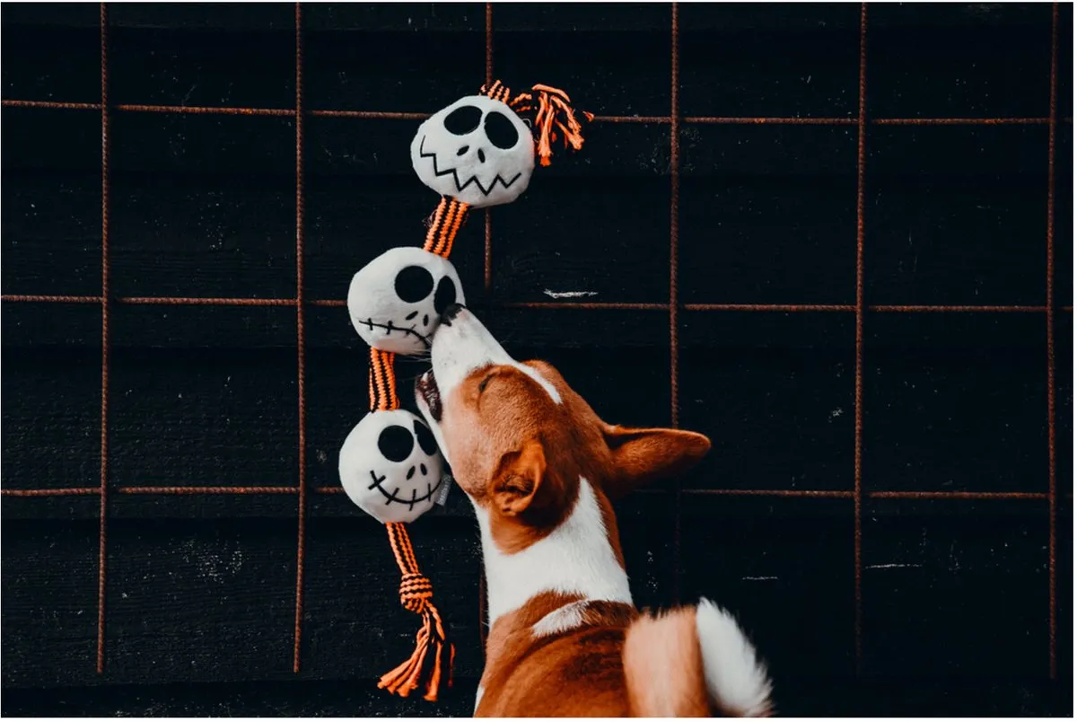 Beeztees Halloween Spookjesballen Touw Hondenspeelgoed - 56x10cm Multi-Color