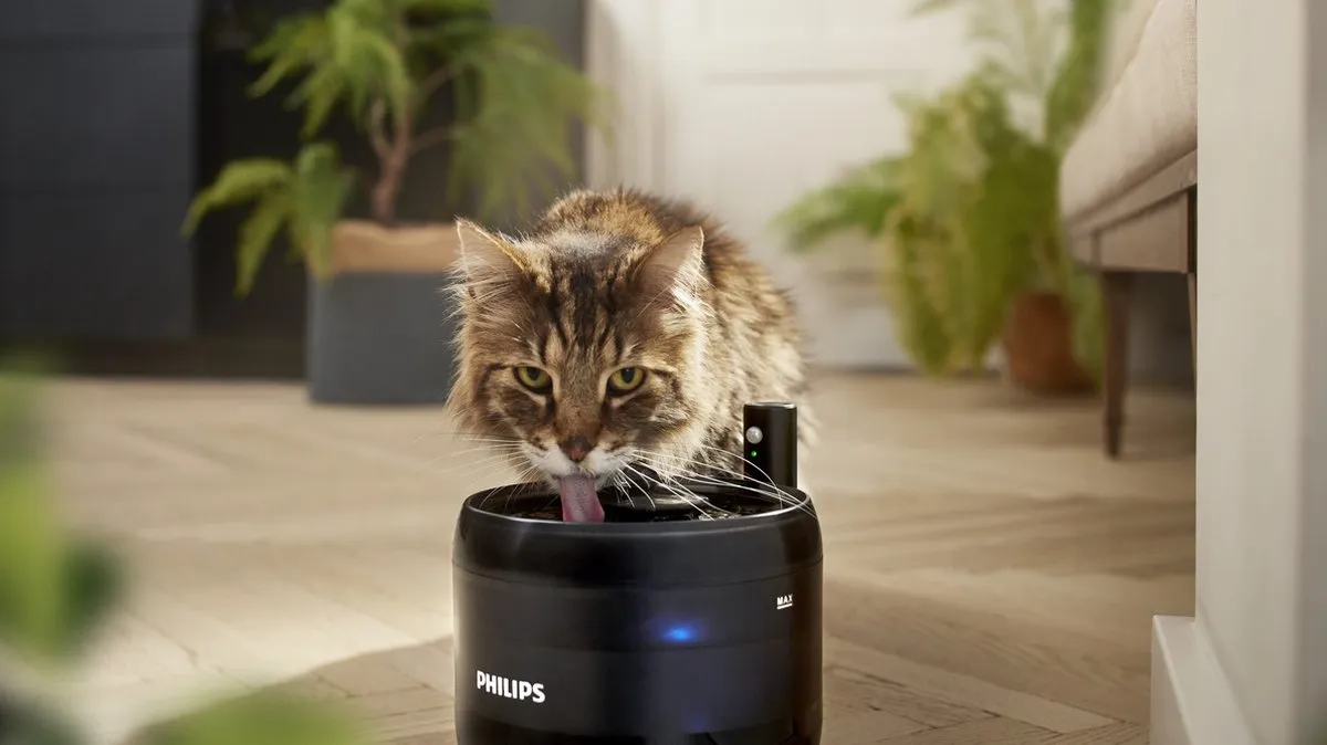 Philips Drinkfontein 2.2L - Grijs