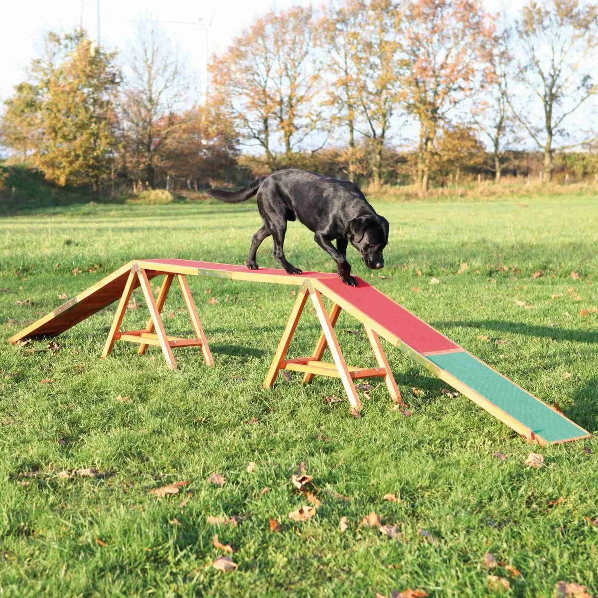 Trixie Dog Activity Agility Hondenloop