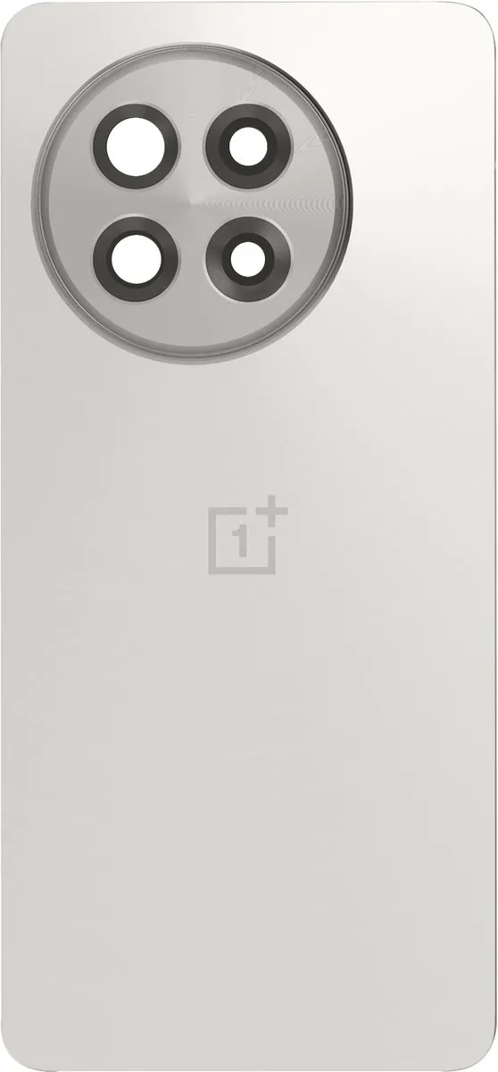 OnePlus 13R Achterruit