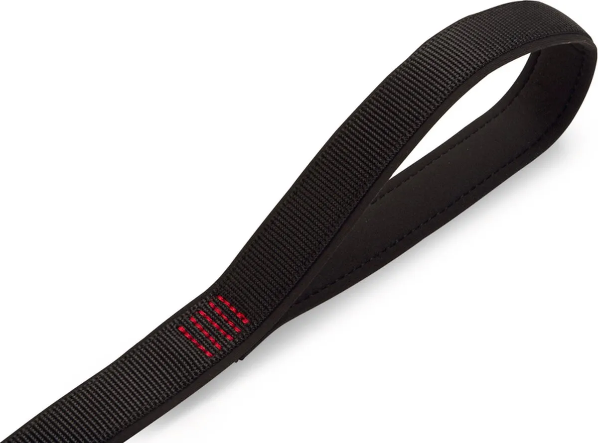 Beeztees Parinca Premium Hondenriem - 120cm x 25mm
