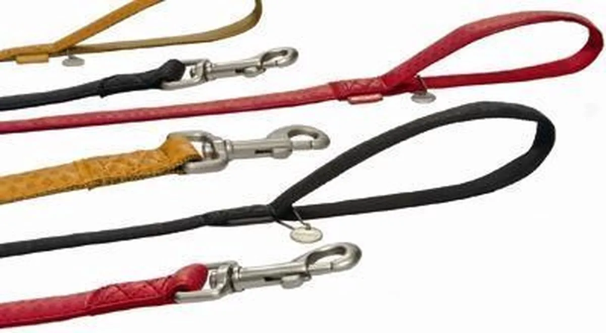 Beeztees Mac Leather Hondenriem - 120cm x 20mm