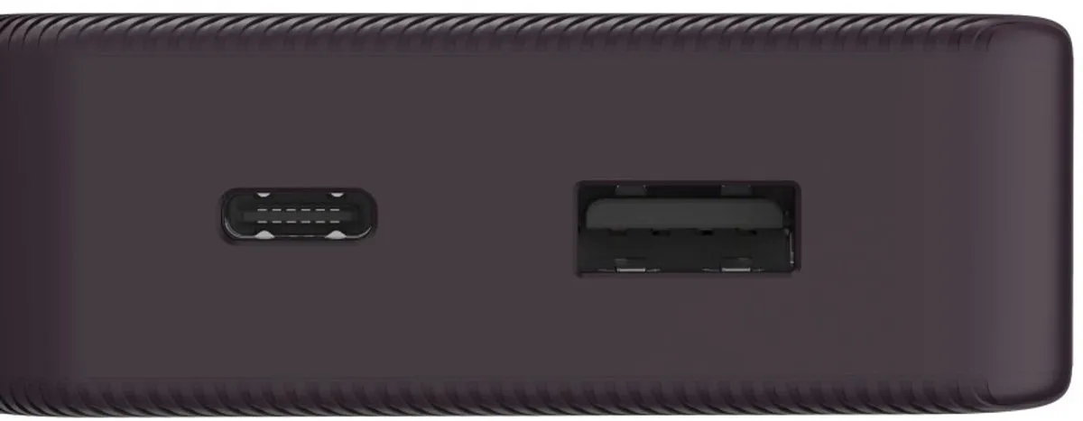 Hama Powerbank 10000mAh 15W - 2x USB - Pruim - afbeelding 6 van 6