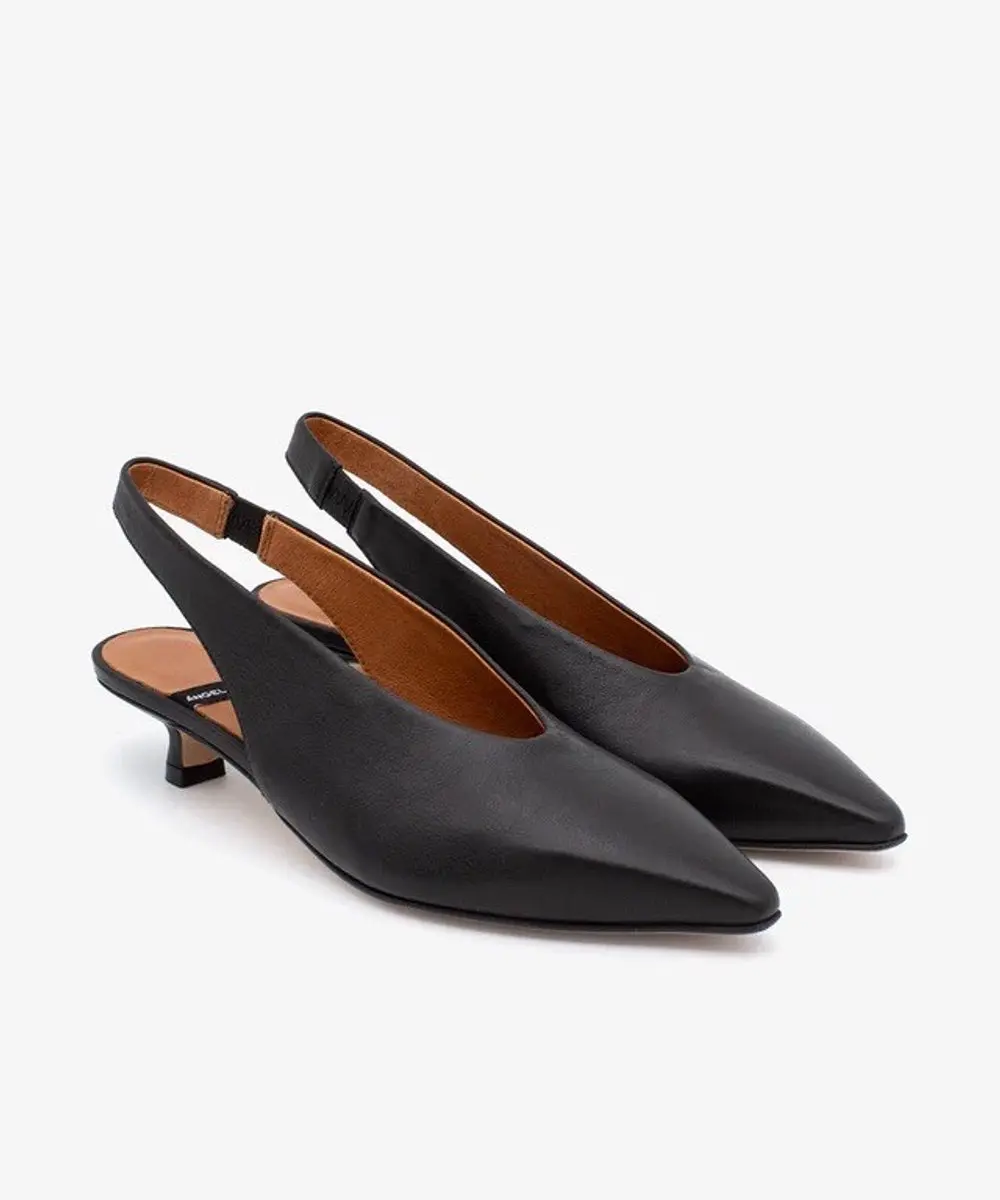 ANGEL ALARCON PUMP