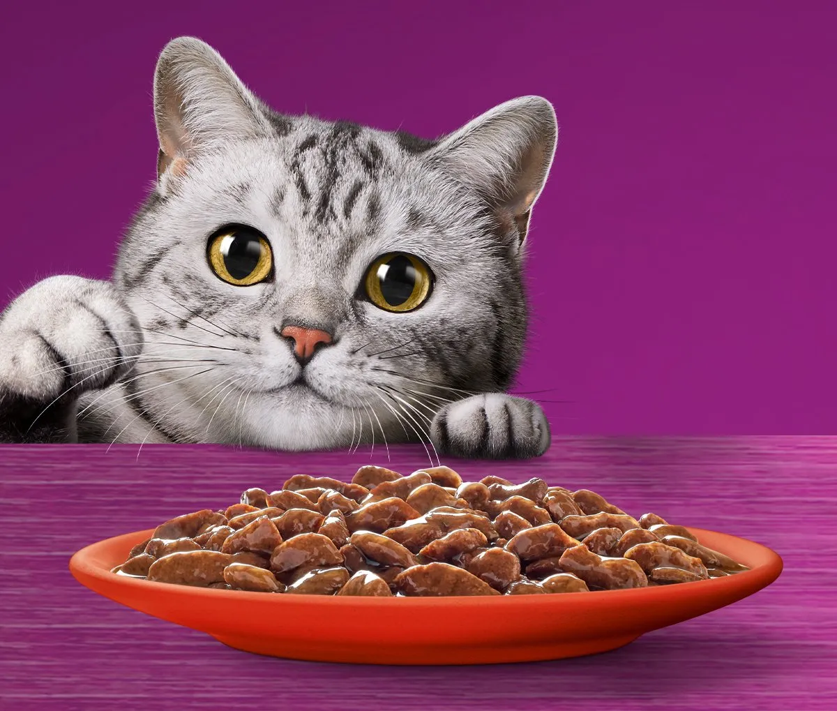 Whiskas Senior 7+ Classic Selectie in Saus - 48x85g - afbeelding 6 van 6