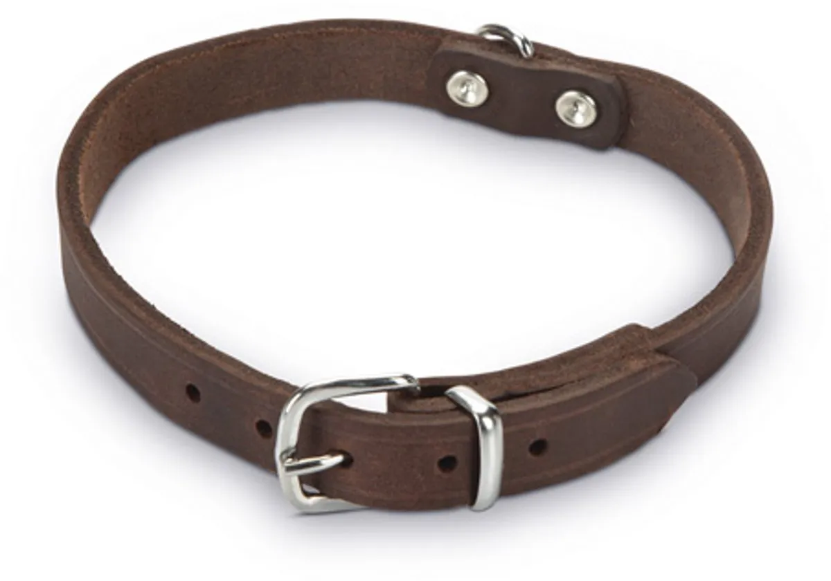 Beeztees Halsband Hond Bruin