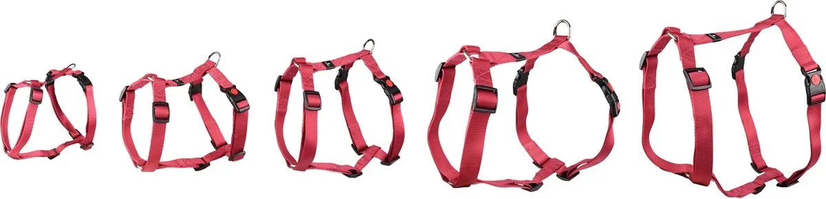 Flamingo Ziggi H-harnas Kersenrood XS 25-40cm