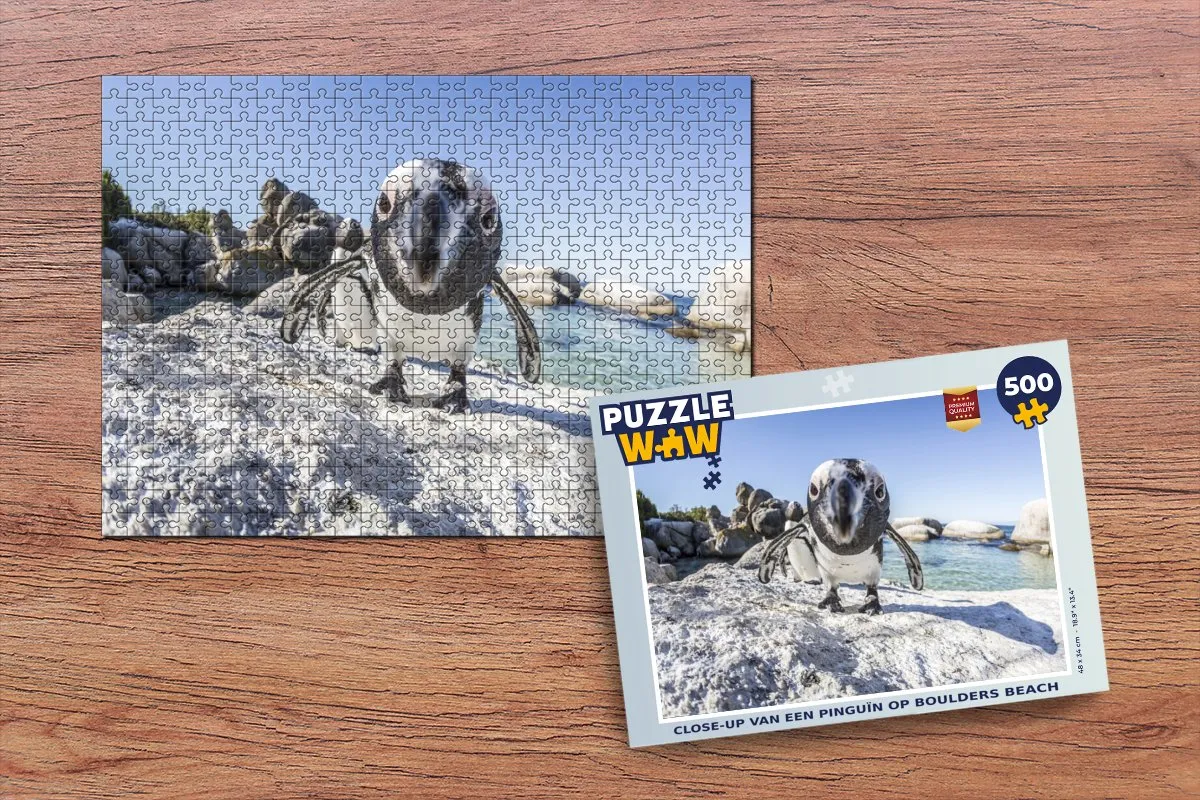 PuzzleWow Pinguïn op Boulders Beach Legpuzzel 500 Stuks - Multicolor