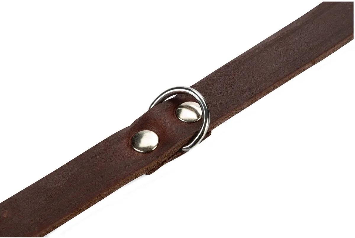 Beeztees Halsband Hond Leer Bruin 43-52cm x 20mm