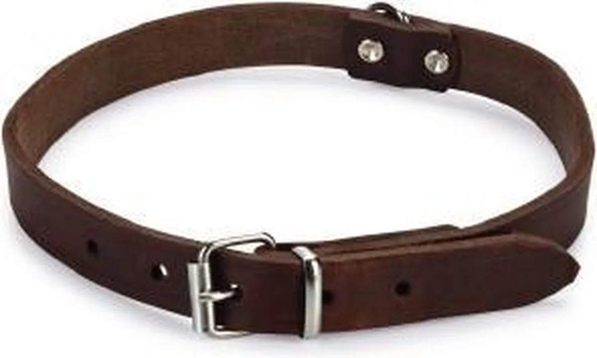Beeztees Halsband Hond Leer Bruin 43-52cm x 20mm