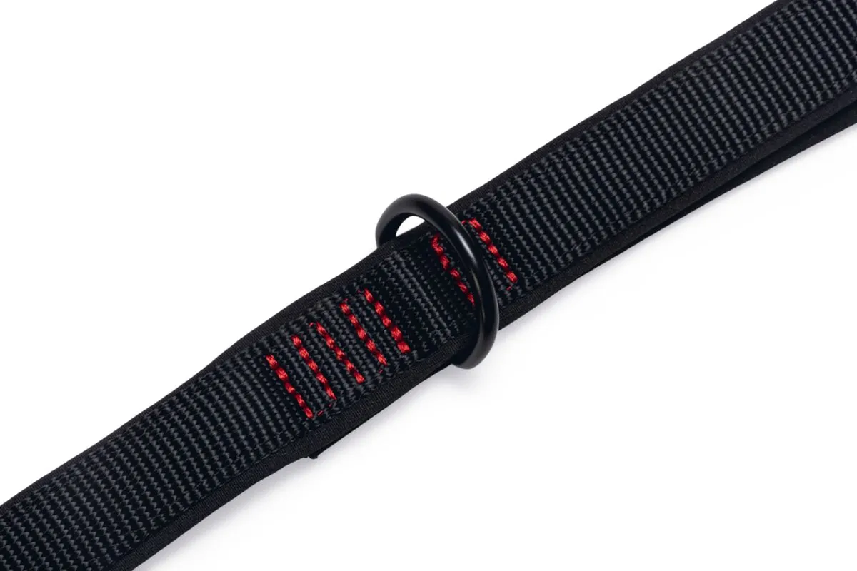 Beeztees Parinca Premium Hondenriem - 120cm x 20mm Zwart