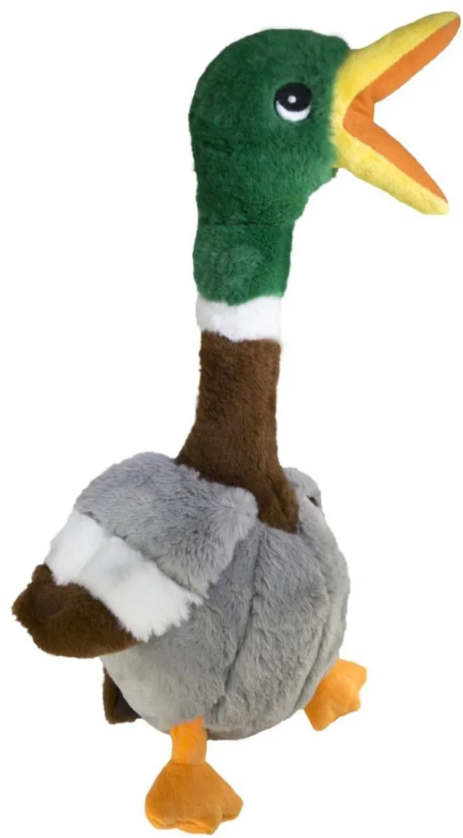 KONG Shakers Honkers Duck Small - Meerkleurig