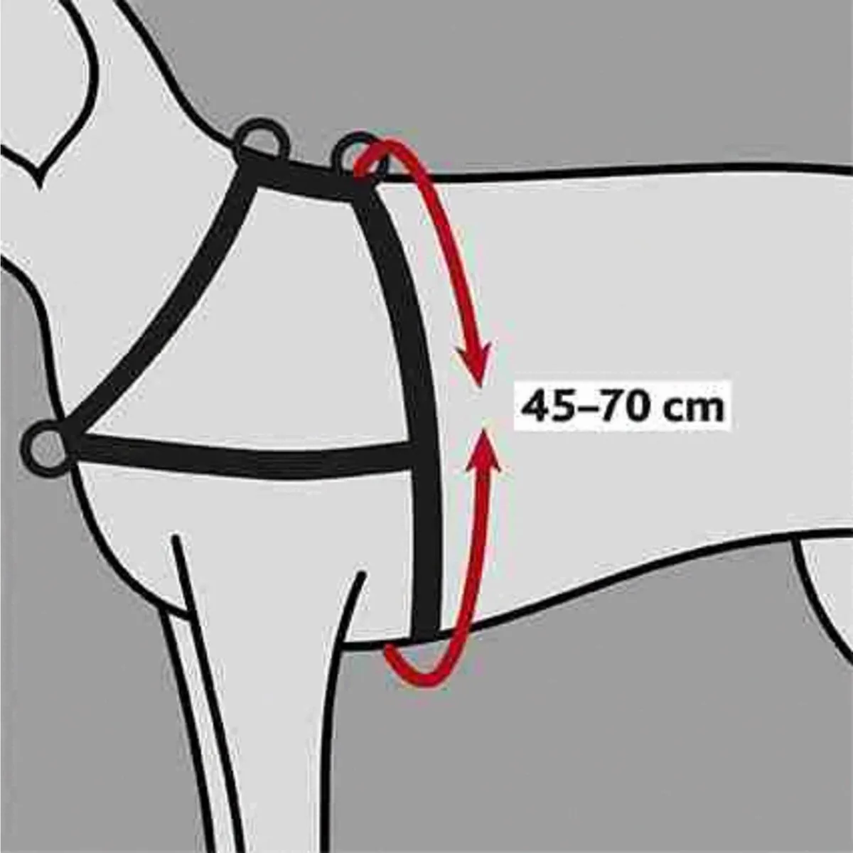 Trixie Lead'N'Walk Zacht Tuig - S/M 45-70cm - Zwart