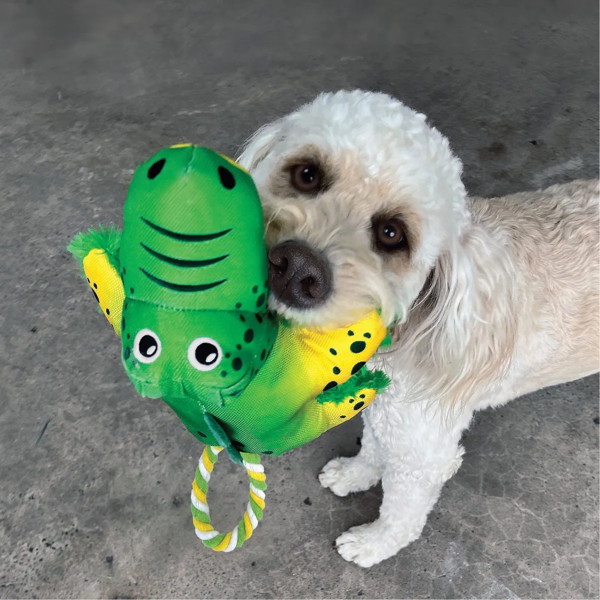 KONG Cozie Tuggz Alligator Hondenspeeltje - Groen