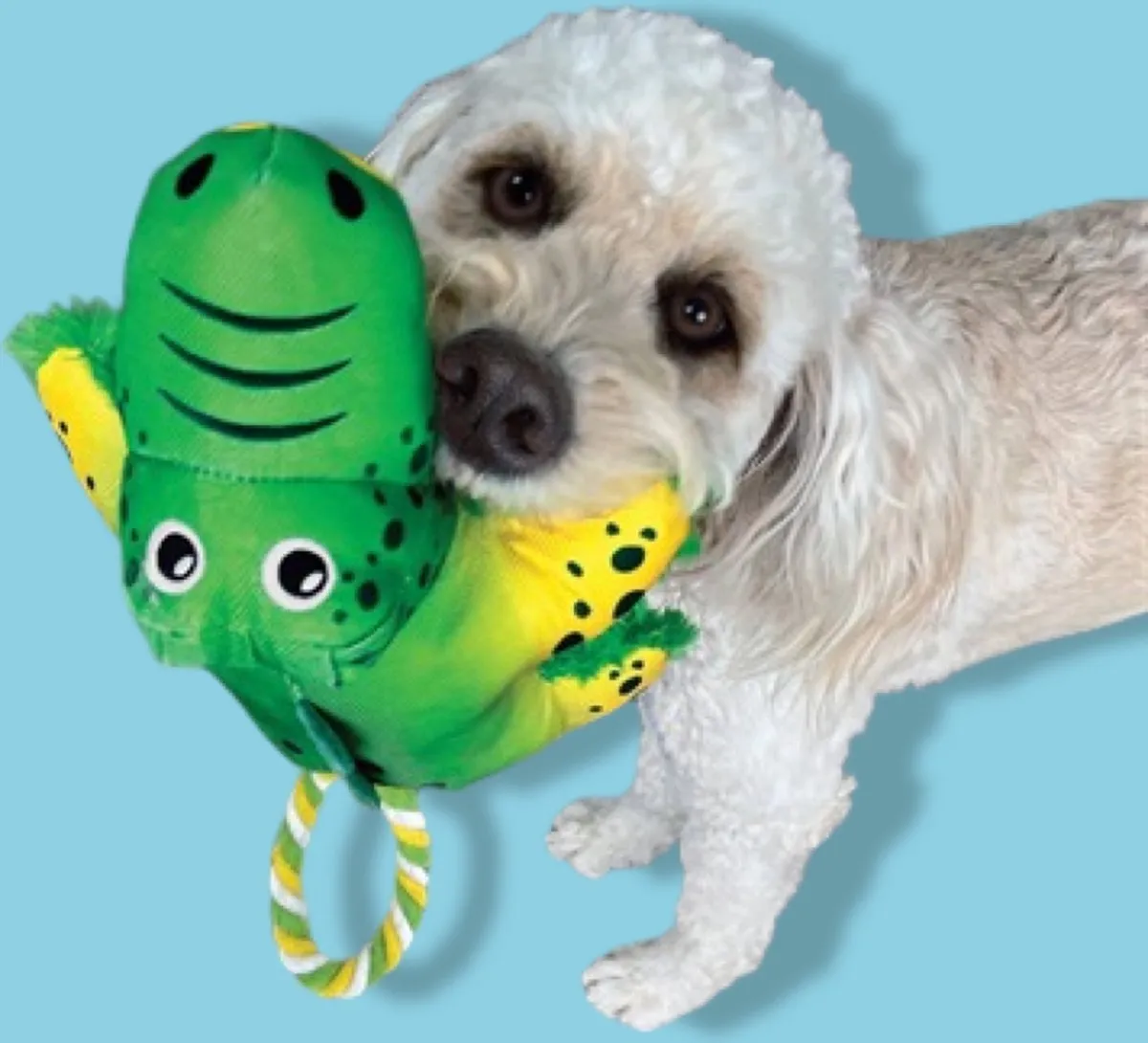 KONG Cozie Tuggz Alligator Hondenspeeltje - Groen